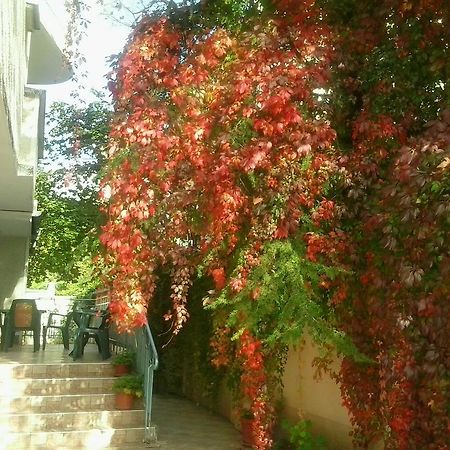 فارنا Hotel Focus المظهر الخارجي الصورة