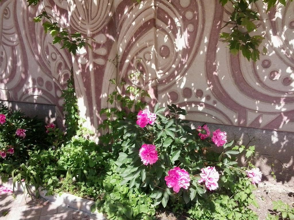 فارنا Hotel Focus المظهر الخارجي الصورة